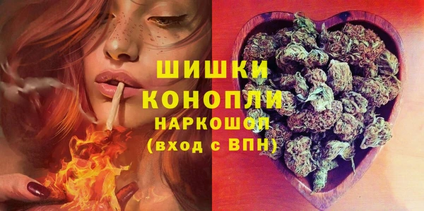 гидропоника Горнозаводск