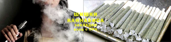 гидропоника Горнозаводск