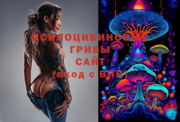 мдпв Горняк